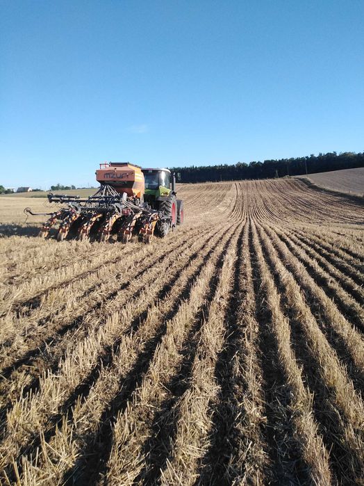 Siew pasowy rzepaku, zbóż, kukurydzy, strip-till uprawa pasowa