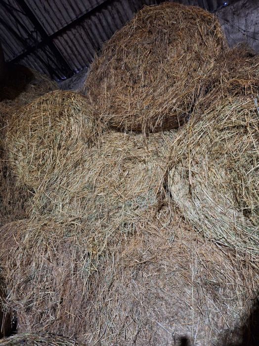 Sprzedam siano z pod dachu
