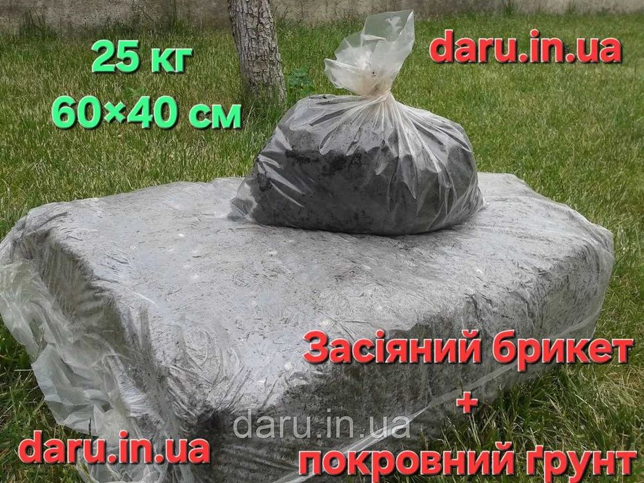 Блок білої печериці 60×40 см, 25 кг (печериць, шампіньйон) + покривний