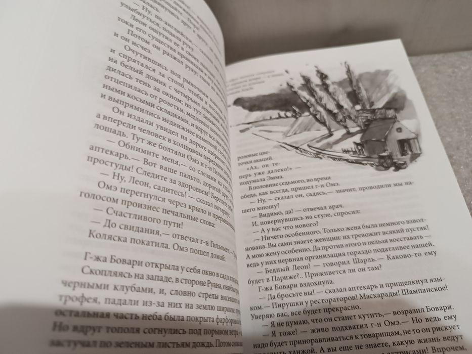 Гюстав Флобер Госпожа Бовари