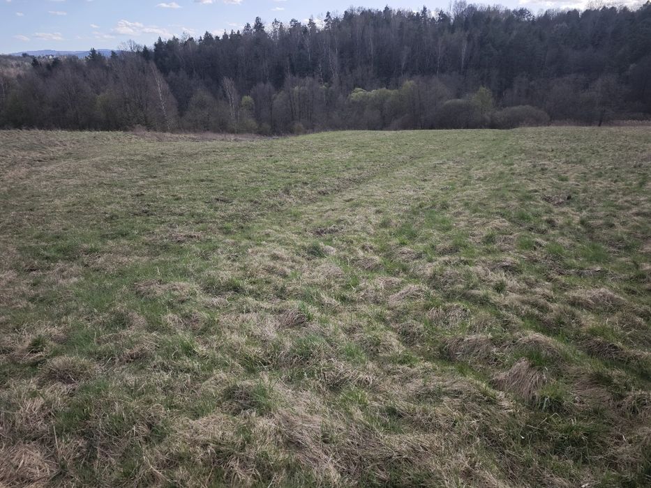 Działka   Włosań - Widok 3