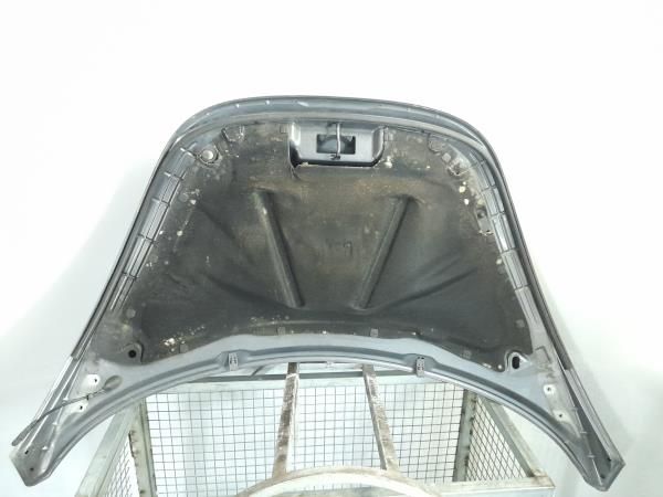 Capot VOLKSWAGEN New Beetle (9C1, 1C1)
