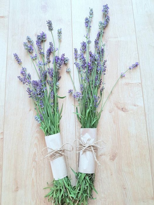 Букеты из лаванды
