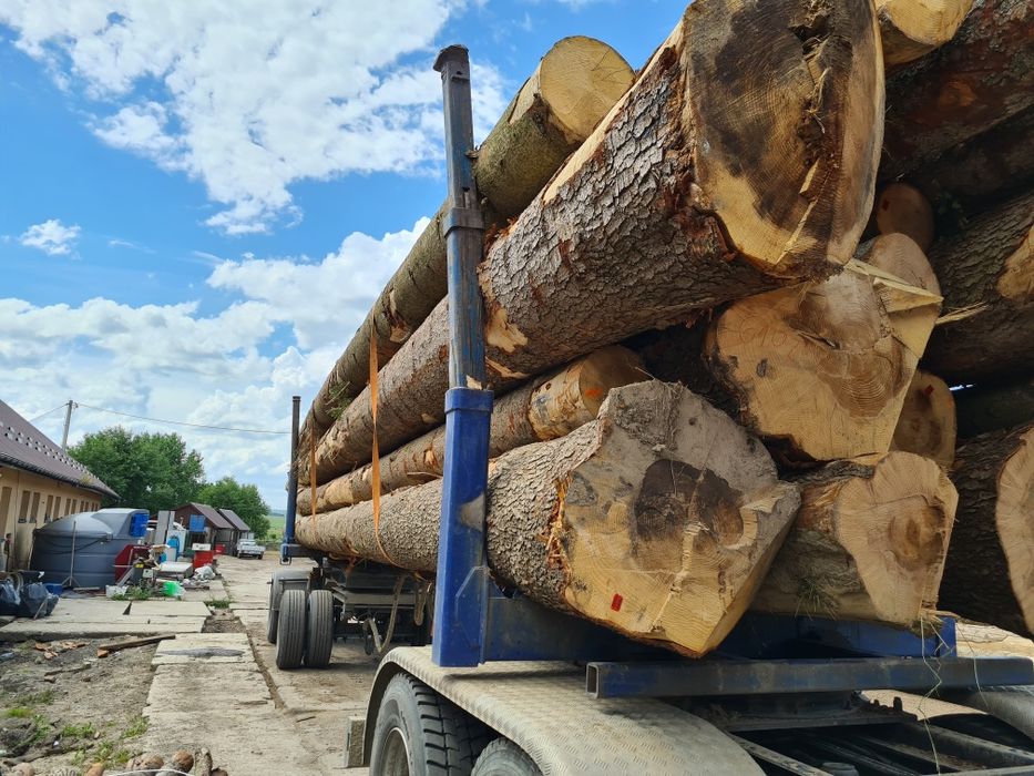 Drewno tartaczne Jodła Sosna