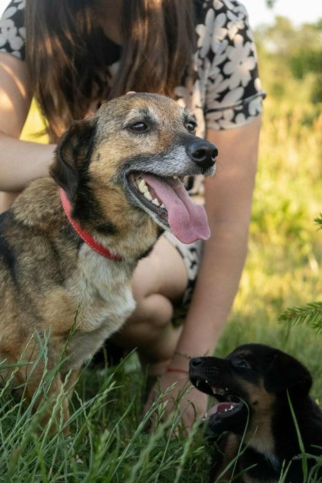 Piękna troskliwa mama do adopcji