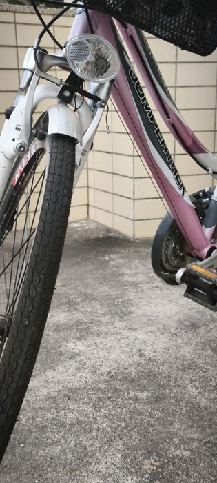 Bicicleta de Senhora Jumper Trek