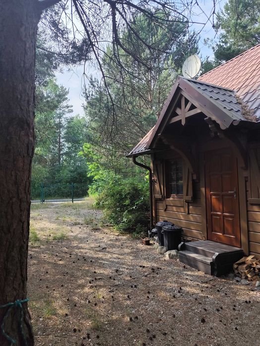Kaszuby domek Wiktor wolne terminy w sierpniu, last minute, jezioro