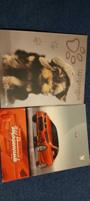 Щоденники шкільні (1 шт)