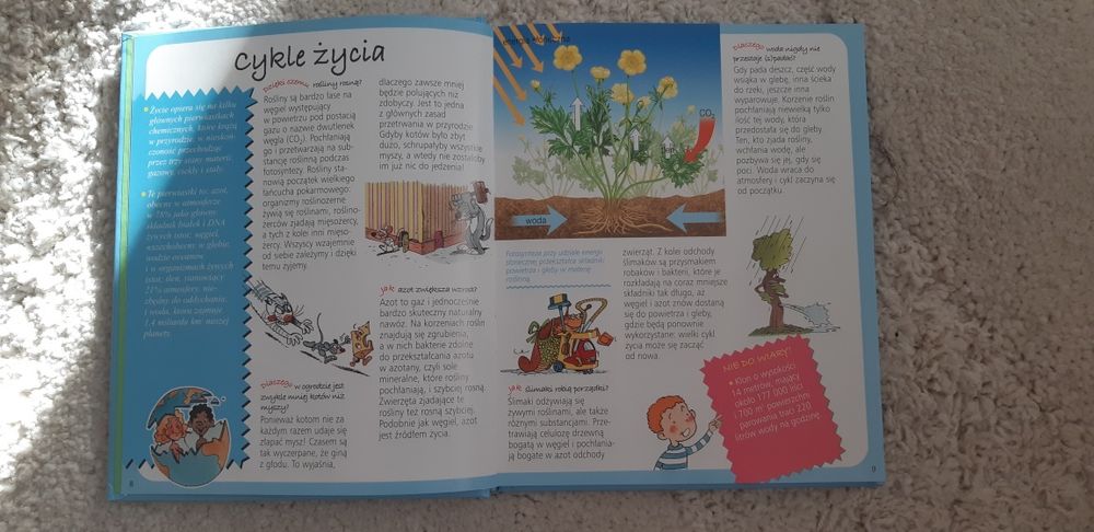 Dlaczego odpowiada w jaki sposób obrazkowa encyklopedia