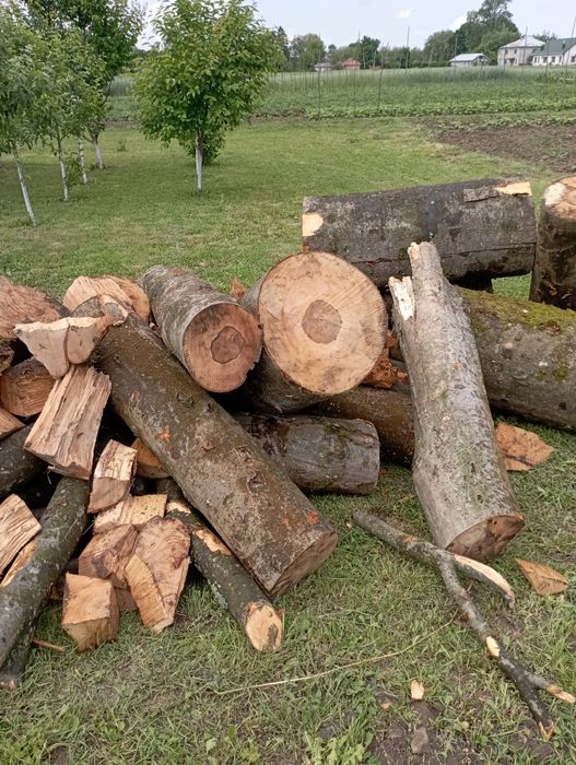 Дрова твердих порід Граб Бук Дуб