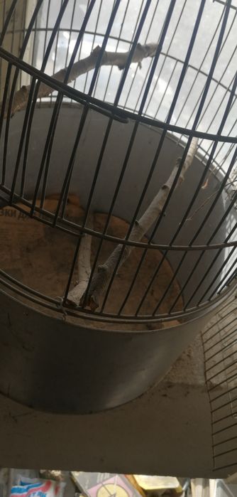 Клетка для птиц и др живности