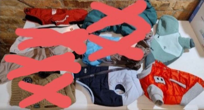 Одежда для мелких пород собак