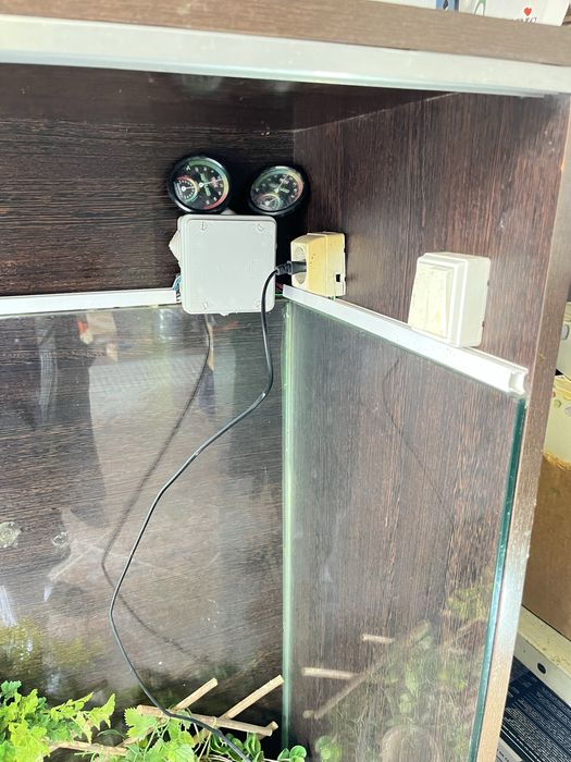 Terrario Grande +extras