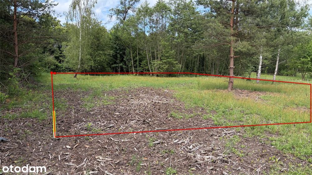 Rozalin - piękna działka przy granicy lasu - Widok 5