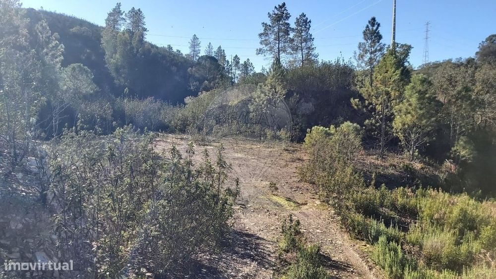 Terreno  para venda — São Bartolomeu de Messines, Faro