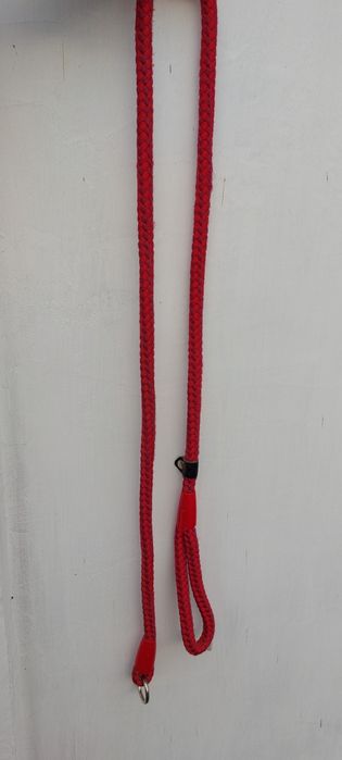 Поводок для собак.