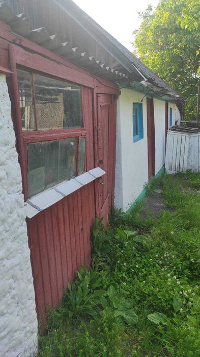 Продам світлий та затишний будинок у селі Мурафа 8808