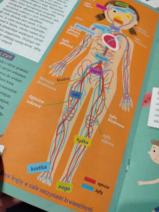 Puzzle i atlas ciało człowieka