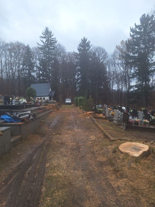 Wycinka Drzew z gruntu