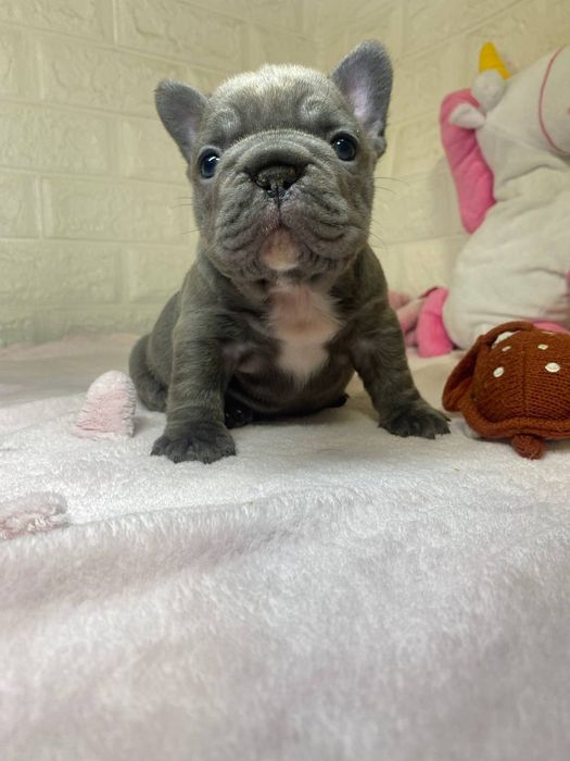 Найгарніший хлопчик