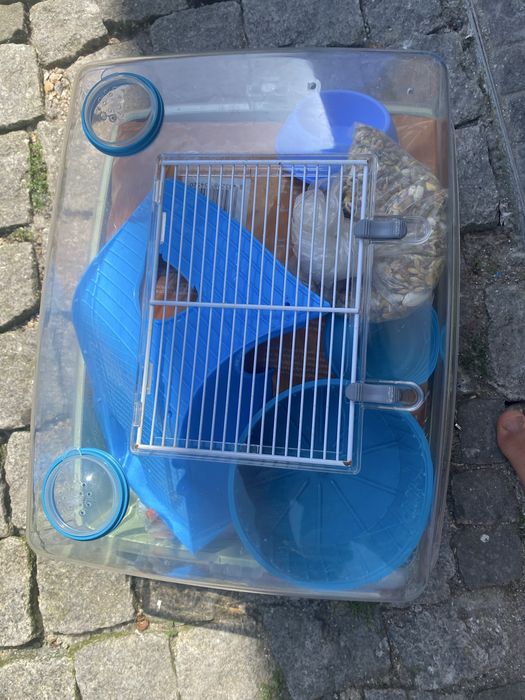 Casota para hamster