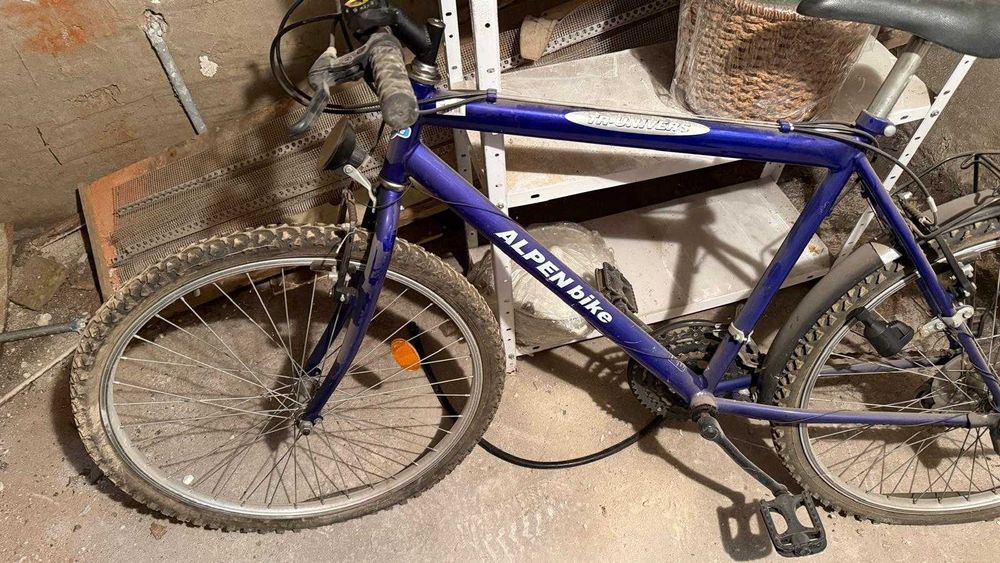 Rower marki Alpen Bike fioletowy