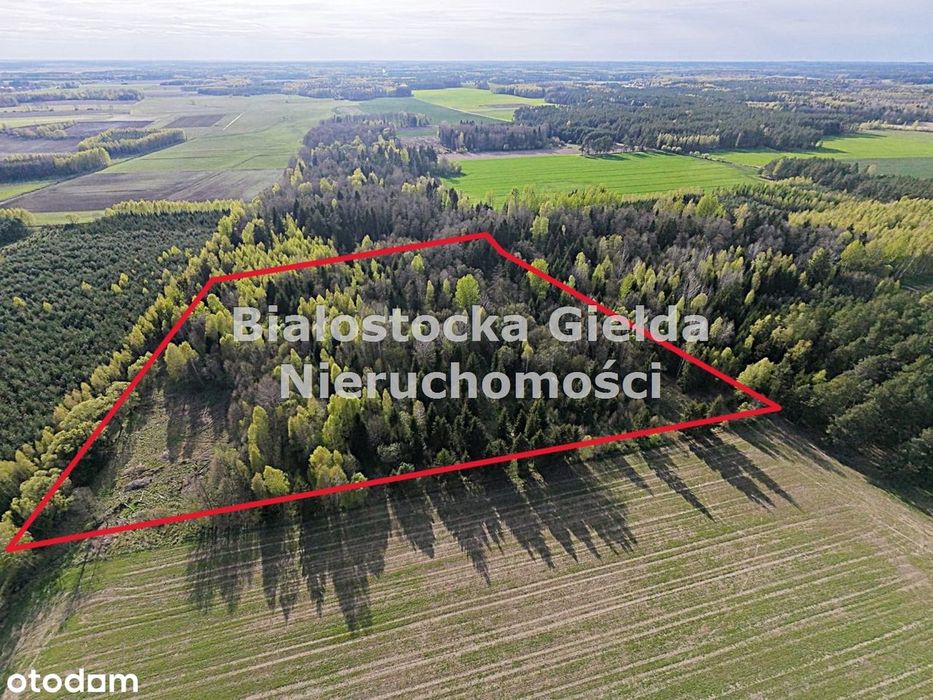 Działka 1,91ha//na kolonii//WArunki ZAbudowy