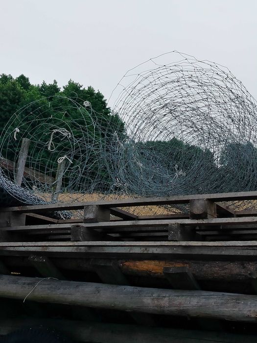Siatka leśna różnej wielkości