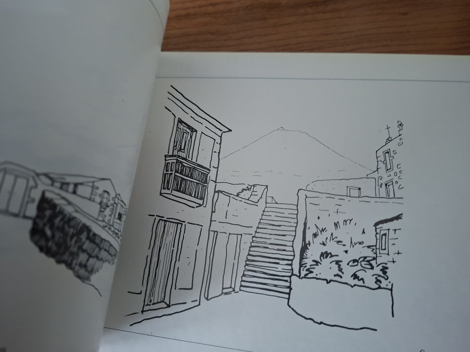 A Ilha do Pico e a Paisagem dos Muros Negros