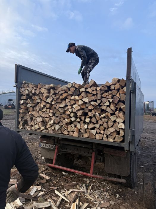 дрова твердых пород дёшево  с документами