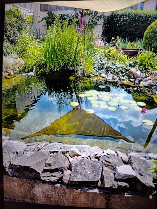 Sprzedam telefon Nokia G21