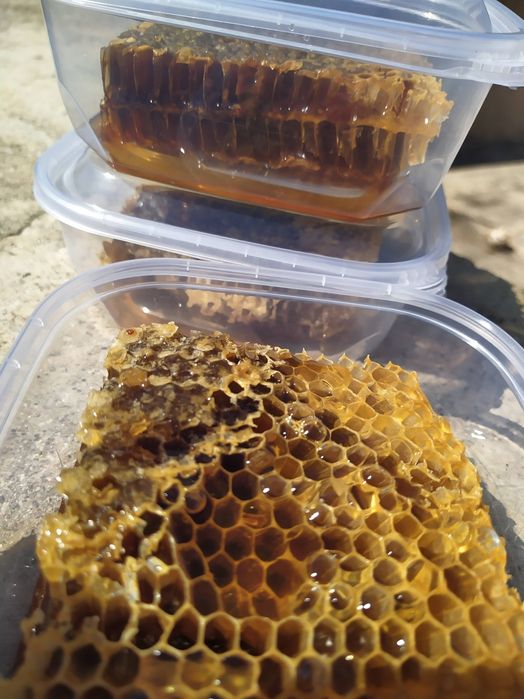 Mel - favo multi floral