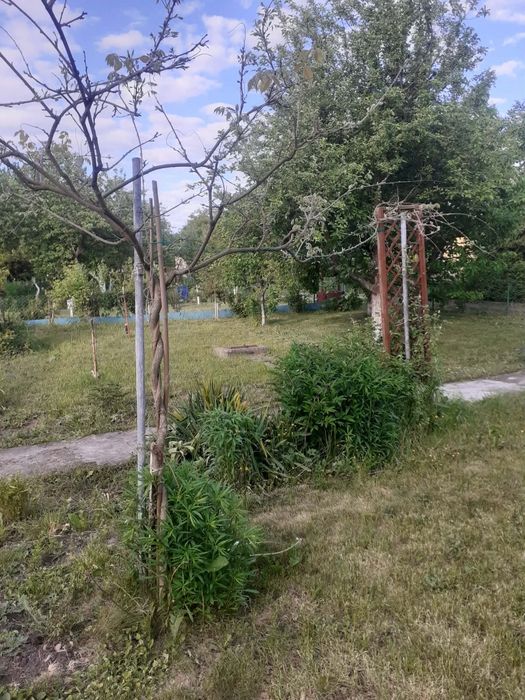 Działka rekreacyjna - Widok 3