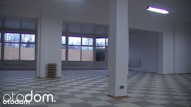 lokal do wynajęcia