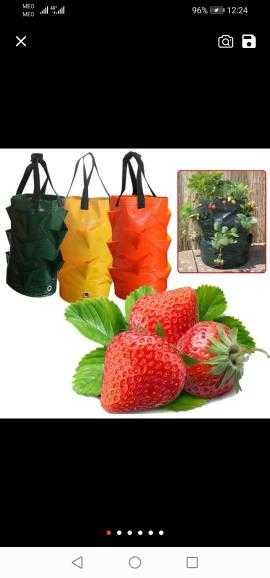 Saco vertical para plantação de morangos