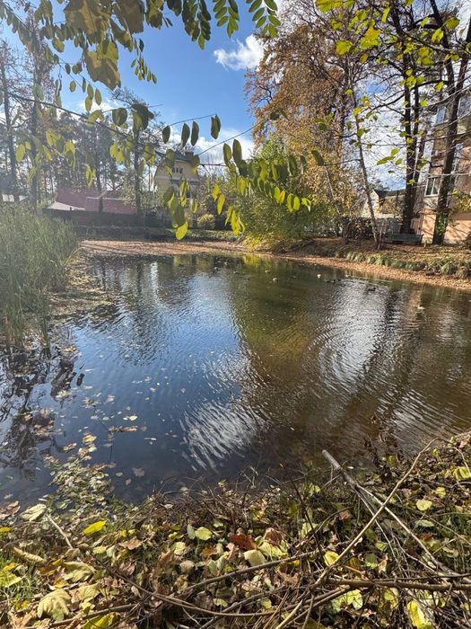 Доступні сучасні тауни біля озера. Газ є