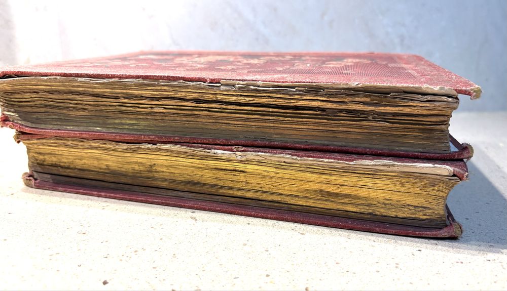 Conjunto de 2 antigos Livros “A vida das Flores” de 1883 - David Corazzi Editor Lisboa