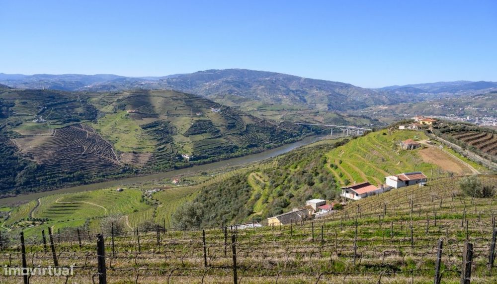 Quinta vínicola à venda no Peso da Régua no Douro Valley