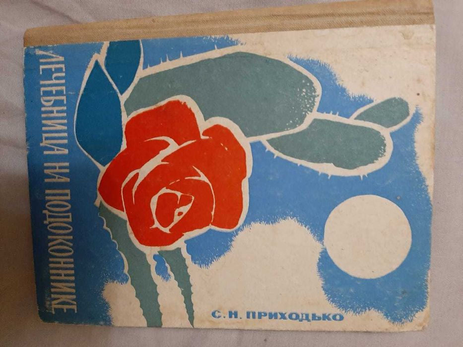 С.Н. Приходько. Лечебница на подоконнике