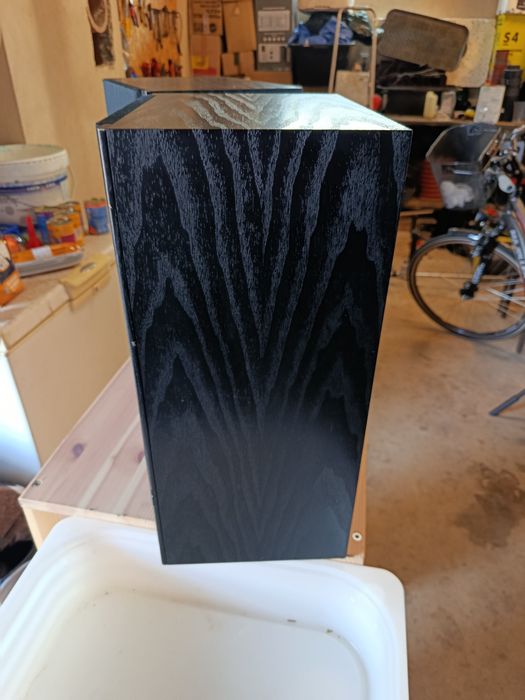 Elac Elr 55 jubilaeum