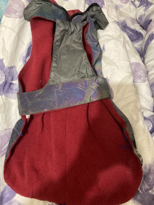 Продам жилет для собаки