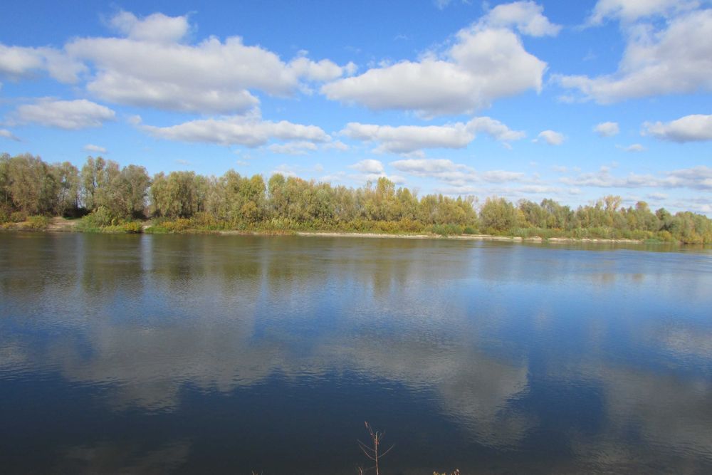 ПУХІВКА. Земельна ділянка 19 соток під забудову.