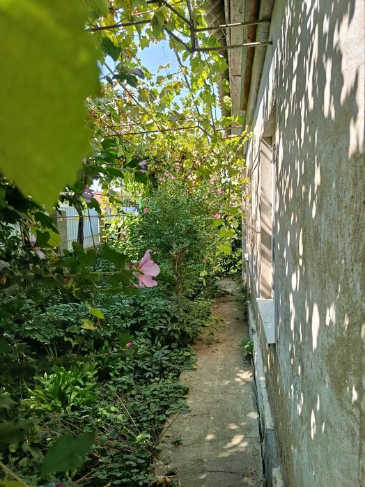 Продаю дом в Беляевке не далеко от центра