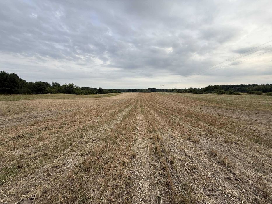 Działka rolno-budowlana 2.19ha z możliwością podziału.