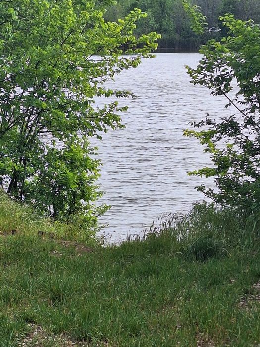 House by the address st. Bandery Stepana (area 60 m²) - Atlanta.ua - photo 2