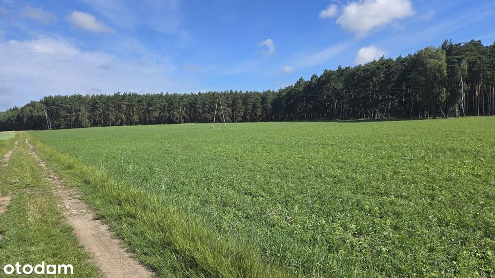 Wyjątkowe działki budowlane  – z pozwoleniem na budowę!