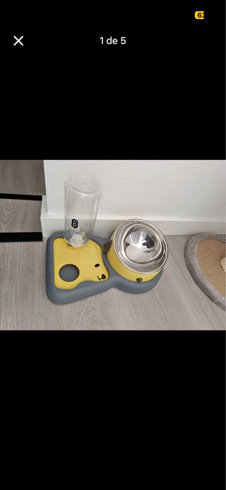 Conjunto para gato