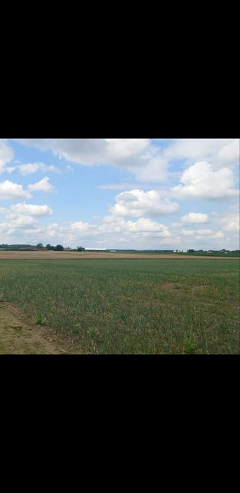 Sprzedaz ziemi rolnej