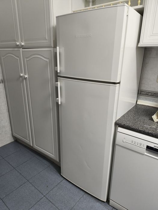 Frigorífico marca Liebherr com congelador