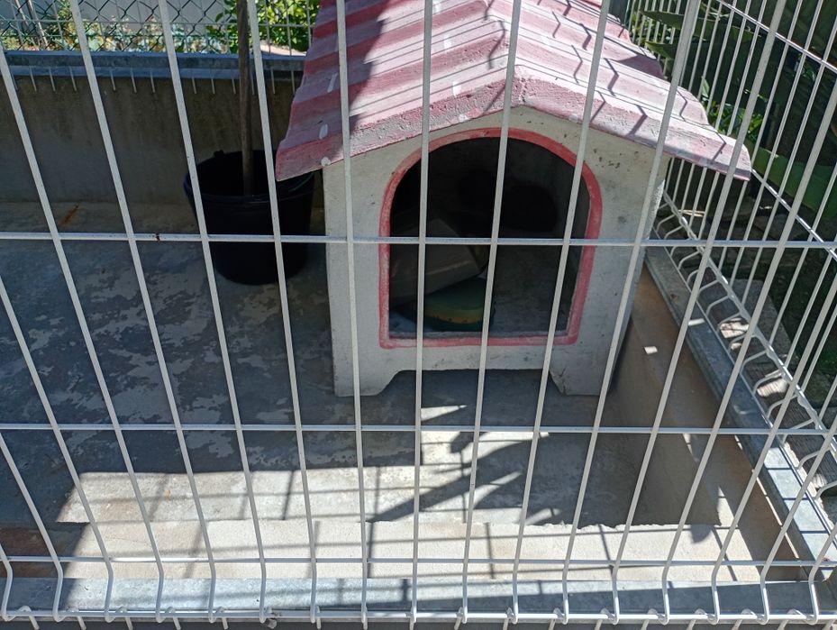 2 casotas de cão
